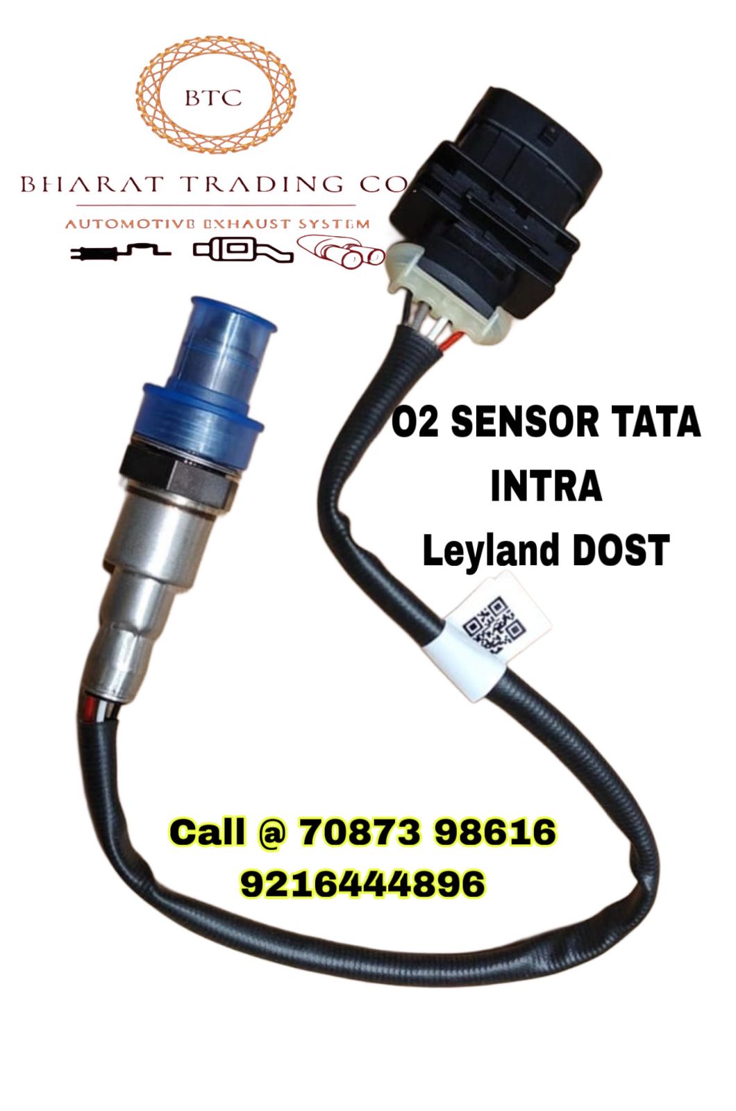 O2 Sensor